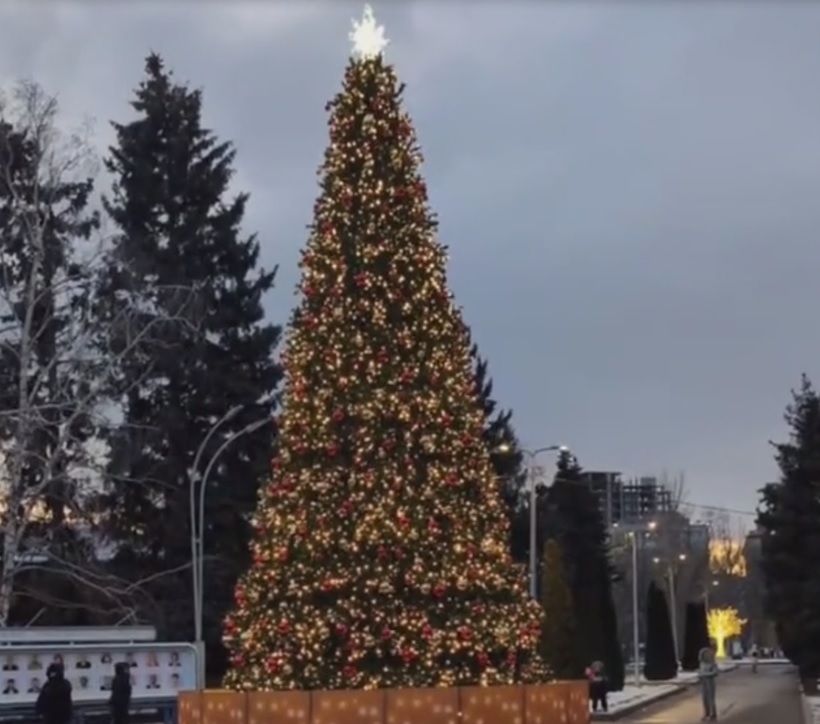В саратовском горпарке зажгли новогоднюю ёлку